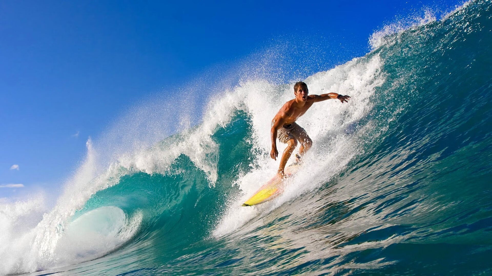 澳大利亚袋鼠队的防守反击，关键时刻掀起转折，澳大利亚袋鼠问题